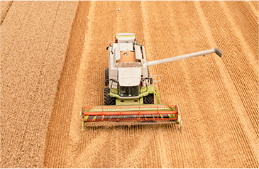 收——加大收割自动化力度，利用智能收获系统，保种保收，提产提质