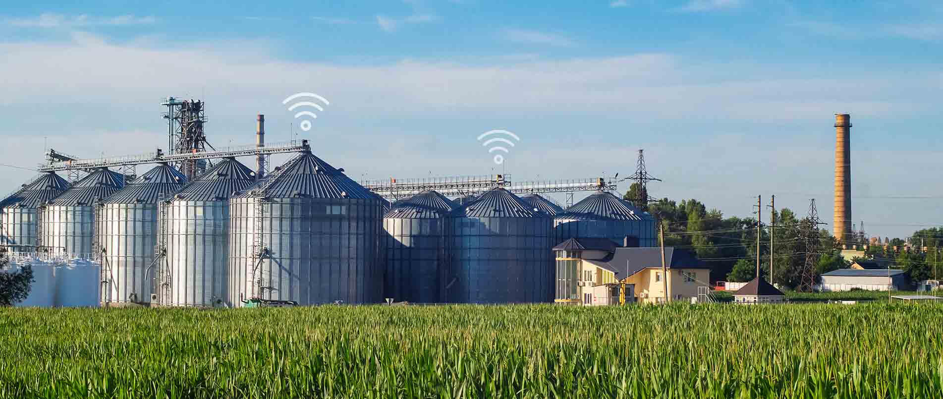 betf88通信助力夏粮存储新招式，科技手段更有效