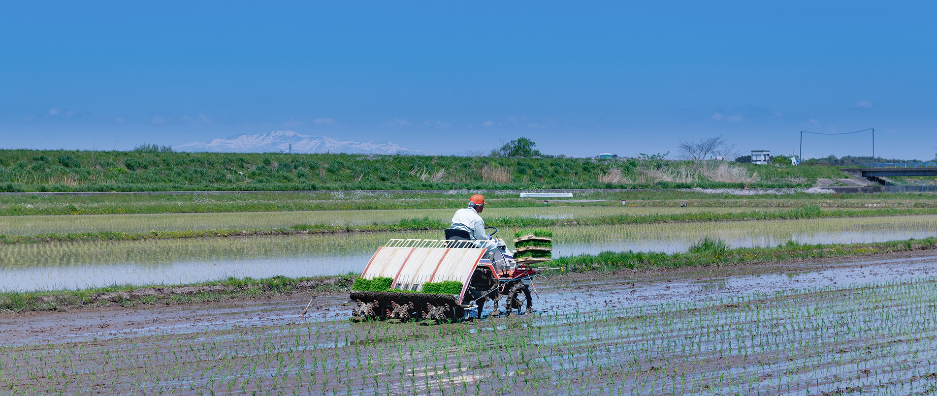 农机水田作业的“智慧大脑”——沃地泰FMA210，告别“经验种植”，开启精准高效农业之旅